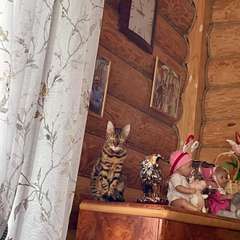 Фото отзыва 10974621