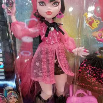 Кукла модельная Monster High Draculaura: отзыв пользователя ДетМир