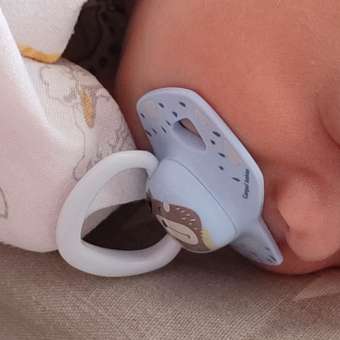 Пустышка Canpol Babies силикон анатомическая от 0 мес. 2 шт.: отзыв пользователя ДетМир
