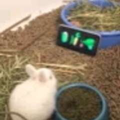 Видео отзыва 7392683