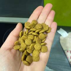 Фото отзыва 10925313