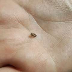 Фото отзыва 10600356