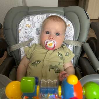 Стульчик для кормления Babyton Sweet Meals Grey серый: отзыв пользователя ДетМир