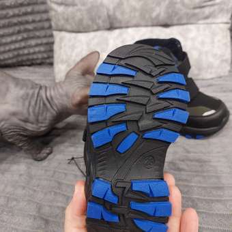 Ботинки Tombi: отзыв пользователя Детский Мир