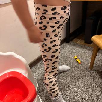 Леггинсы 3 шт BeeBoo: отзыв пользователя Детский Мир