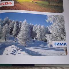 Фото отзыва 10656994