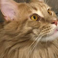 Фото отзыва 10754366