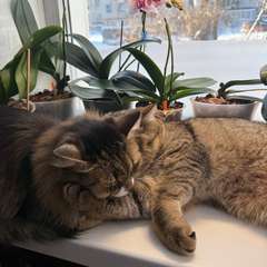 Фото отзыва 11036475