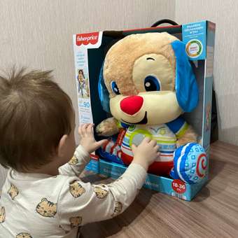 Игрушка Fisher Price: отзыв пользователя ДетМир