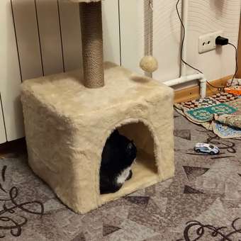 Домик для кошки с когтеточкой Pet БМФ Бежевый: отзыв пользователя. Зоомагазин Зоозавр