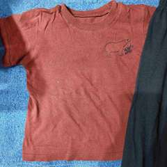 Фото отзыва 11124102