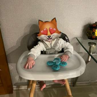 Стульчик для кормления Babyton Woody Grey трансформер: отзыв пользователя Детский Мир