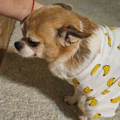 Фото отзыва 10635430