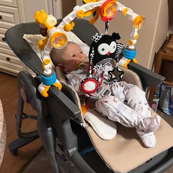 Стульчик для кормления Rant Café бежевый: отзыв пользователя Детский Мир