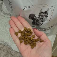 Фото отзыва 10822915