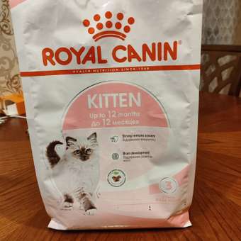 Корм сухой для котят ROYAL CANIN Kitten 2кг: отзыв пользователя. Зоомагазин Зоозавр