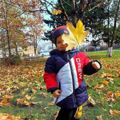 Фото отзыва 10605314