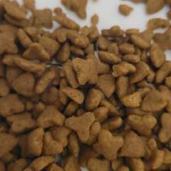 Фото отзыва 10686897