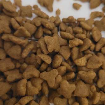 Корм для кошек ROYAL CANIN Sensible 33 взрослых с чувствительной пищеварительной системой сухой 1.2кг: отзыв пользователя. Зоомагазин Зоозавр