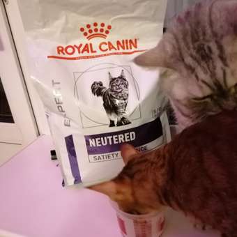 Корм для кошек ROYAL CANIN Neutered Satiety Balance стерилизованных 3.5кг: отзыв пользователя. Зоомагазин Зоозавр
