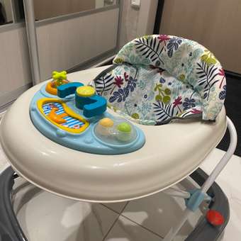 Ходунки BabyCare: отзыв пользователя Детский Мир