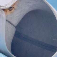 Видео отзыва 11034928