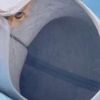 Домик для животного Barbaks Круговорот туннель войлочный 43*39*42см: отзыв пользователя. Зоомагазин Зоозавр