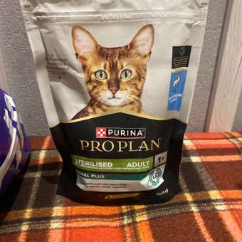 Корм сухой для кошек PRO PLAN 200г с кроликом стерилизованных: отзыв пользователя. Зоомагазин Зоозавр