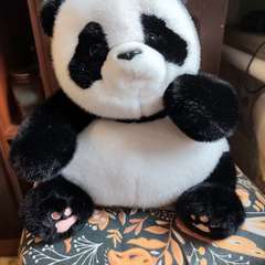 Фото отзыва 10835261