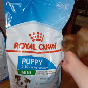 Корм для щенков ROYAL CANIN Puppy мелких пород 4кг: отзыв пользователя. Зоомагазин Зоозавр