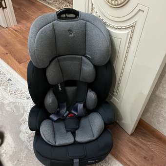 Автокресло Rant Basic Spark Grey 1/2/3 (9-36 кг) серый: отзыв пользователя Детский Мир