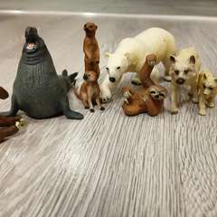 Фото отзыва 10842303