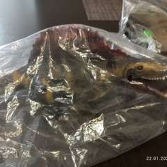 Фото отзыва 10935914