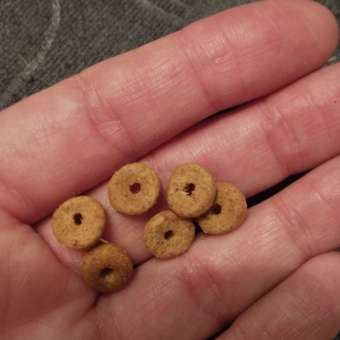 Корм сухой для кошек ROYAL CANIN Light Weight Care 400г для взрослых кошек в целях профилактики избыточного веса: отзыв пользователя. Зоомагазин Зоозавр