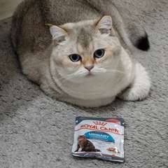 Фото отзыва 10754187