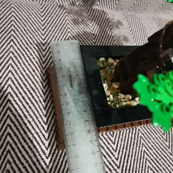Конструктор LEGO Icons Бонсай 878 дет.: отзыв пользователя Детский Мир