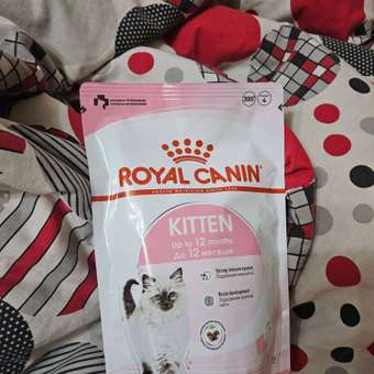 Корм сухой для котят ROYAL CANIN Kitten 300г: отзыв пользователя. Зоомагазин Зоозавр