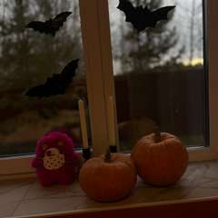 Фото отзыва 10579240