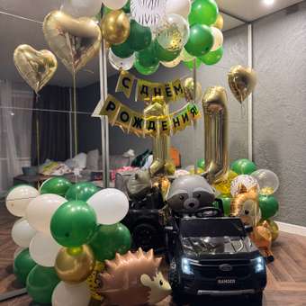 Автомобиль BabyCare Ford Ranger С пультом ДУ: отзыв пользователя Детский Мир