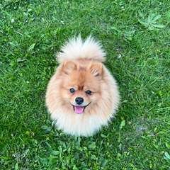 Фото отзыва 10452389