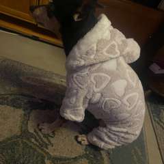 Фото отзыва 10763159