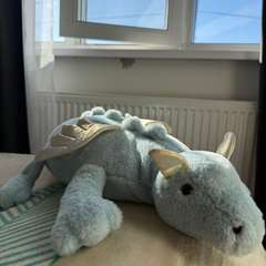 Фото отзыва 11207504