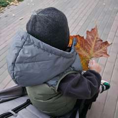 Фото отзыва 10582758