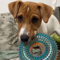 Фото отзыва 10527619