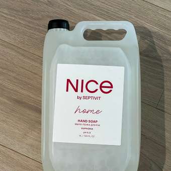 Мыло жидкое NICE by Septivit Ягоды 5000 мл: отзыв пользователя Детский Мир