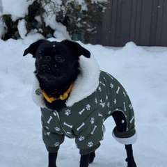 Фото отзыва 10948130