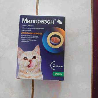Антигельминтик для кошек и котят KRKA Милпразон №2 4мг/10мг таблетки: отзыв пользователя. Зоомагазин Зоозавр