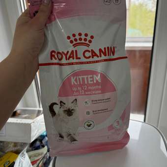 Корм сухой для котят ROYAL CANIN Kitten 1.2кг: отзыв пользователя. Зоомагазин Зоозавр