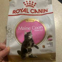 Фото отзыва 11341611