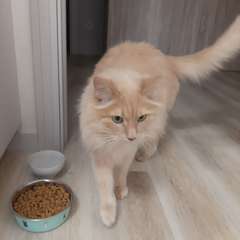 Фото отзыва 10327155